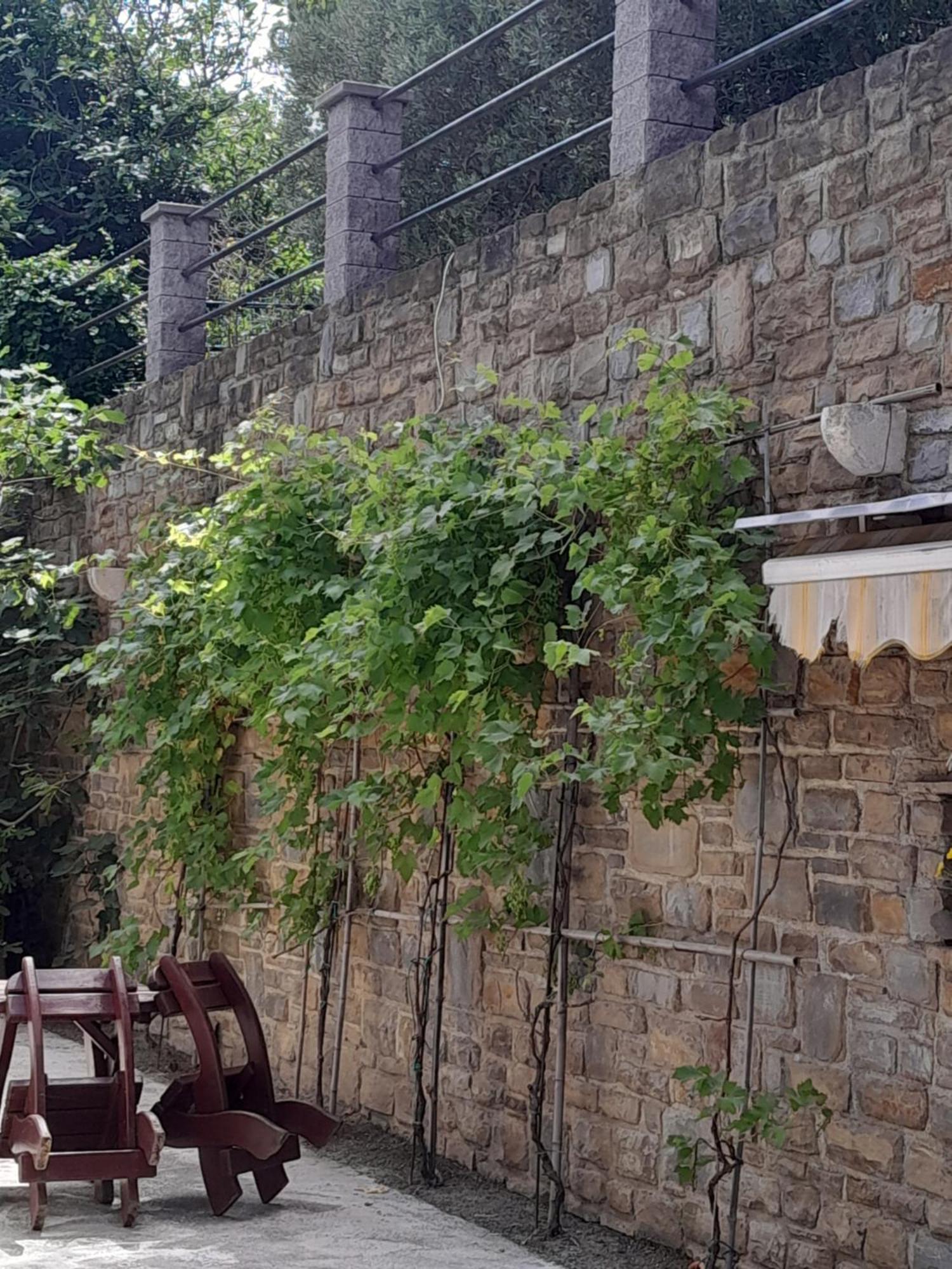 Apartmaji Strunjan Luaran gambar